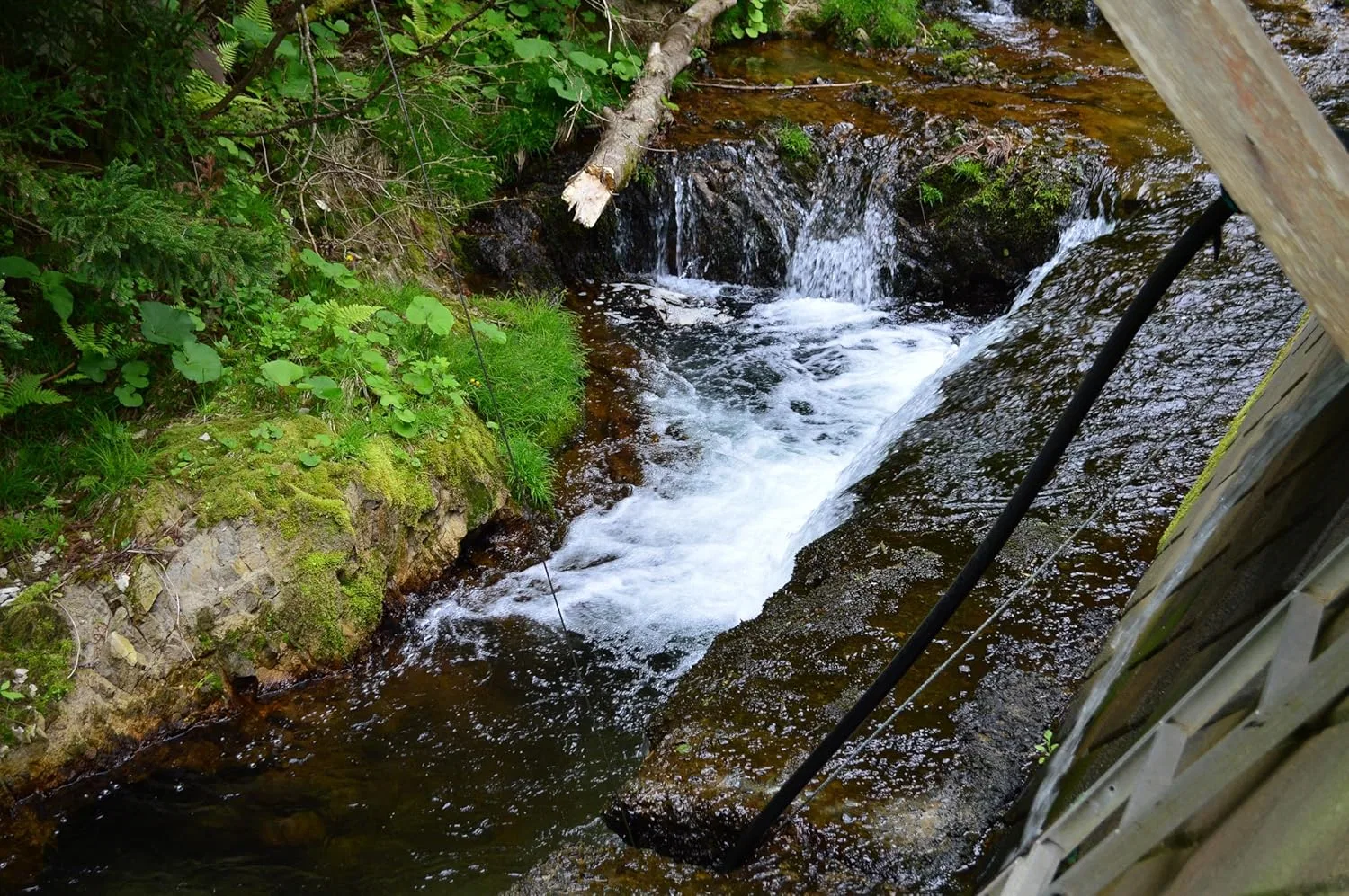 Масло Aomori Hiba Oil, натуральная вода Aomori Hiba, 20 л, с насадкой