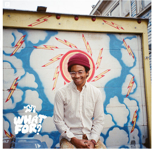 

Виниловая пластинка Toro y Moi: What for