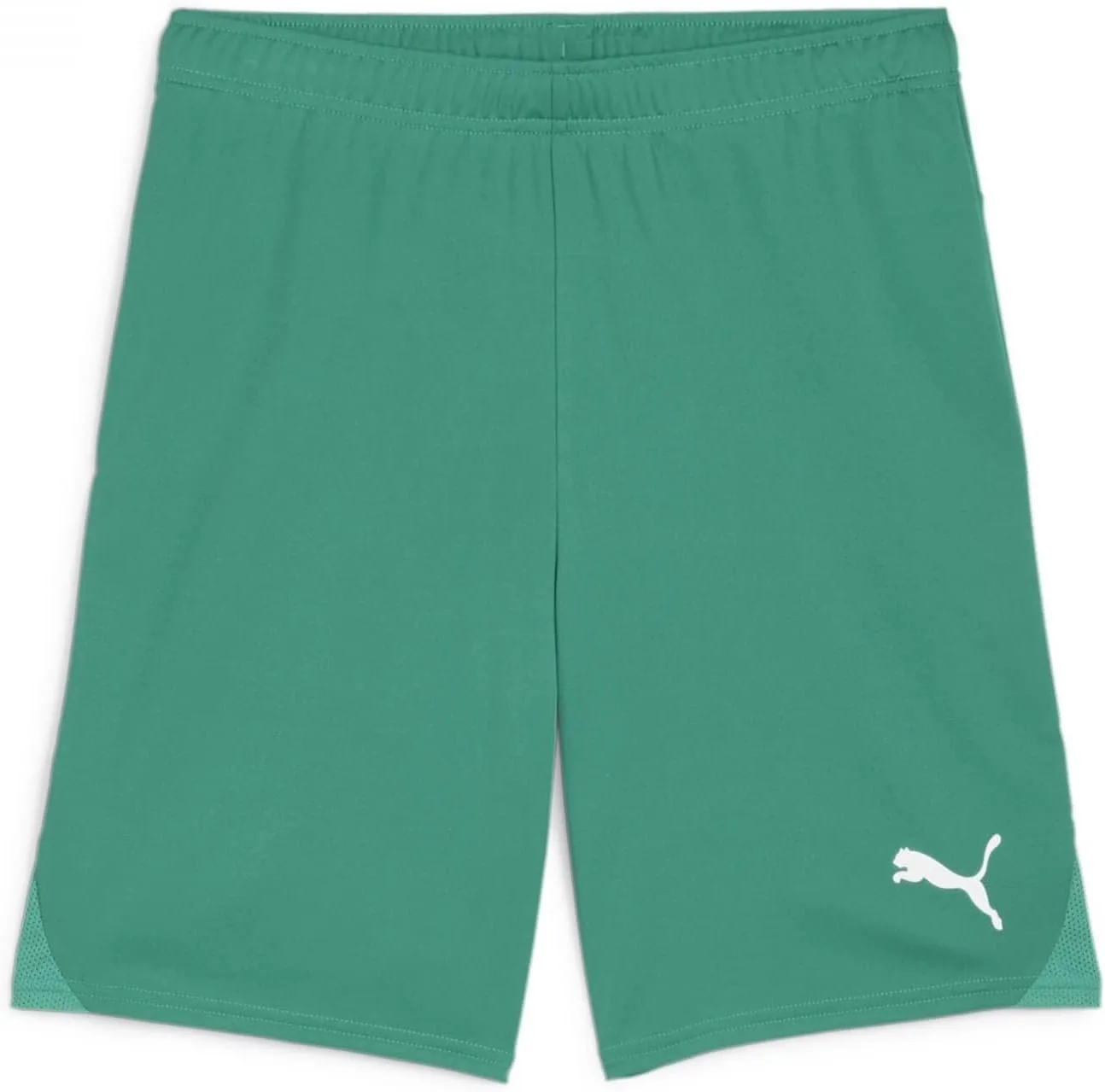 

PUMA Teamgoal шорты мужские
