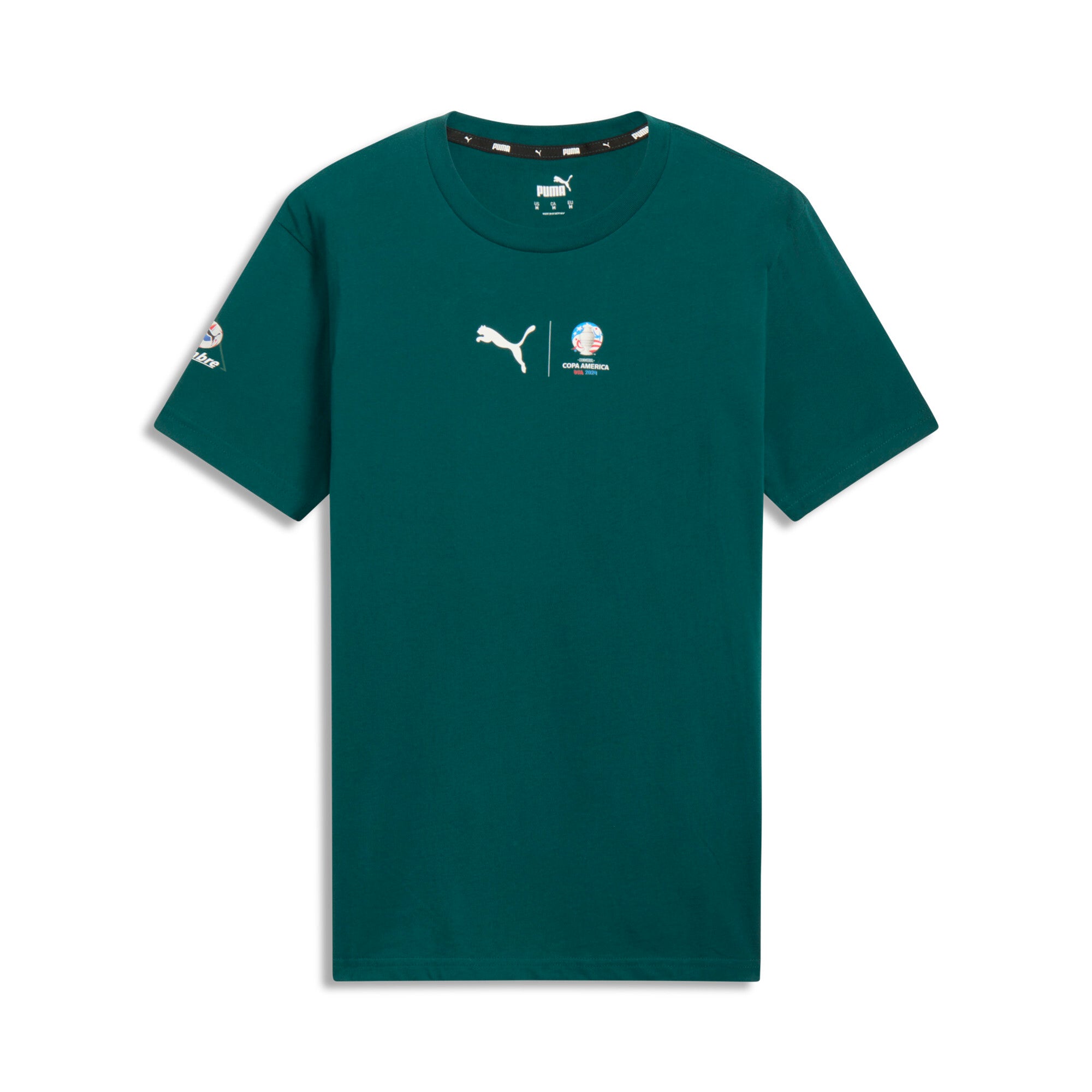 

Мужская футболка PUMA CONMEBOL Copa America 2024 Mexico, цвет varsity green