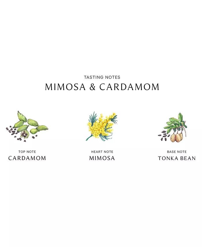 Крем для тела «Мимоза и кардамон», 5,9 унции Jo Malone London — фото 2