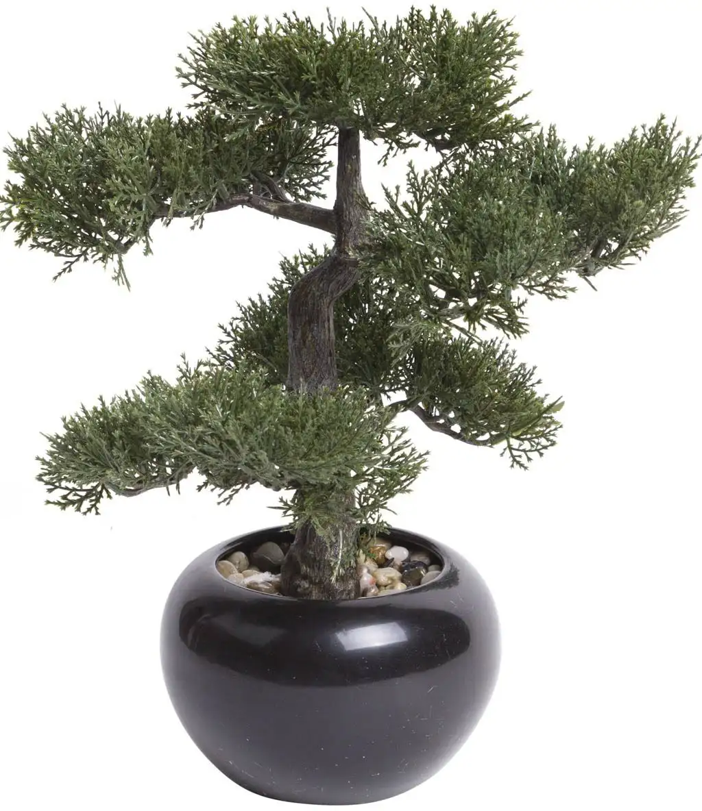 

Искусственный бонсай Botanic-Haus "Ceder Bonsai" Ø/32х34 см, зеленый