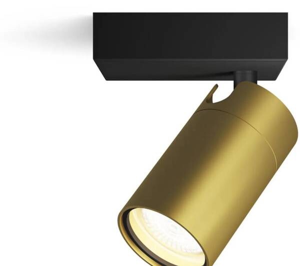 

Потолочный светильник Philips Idris цвет gold schwarz