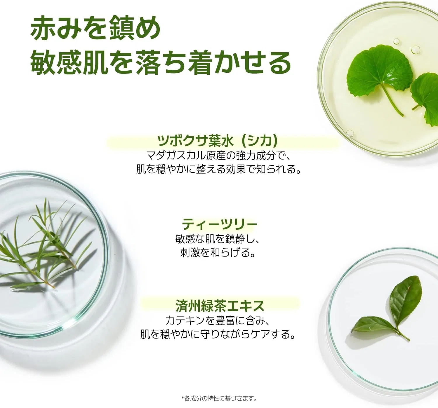 Сыворотка Avca — Успокаивающая с чайным деревом True Carming Sicati Tree Balancing Serum, 100 мл — фото 4