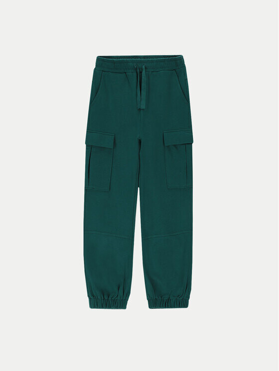 

Спортивные брюки regular fit Coccodrillo, зеленый