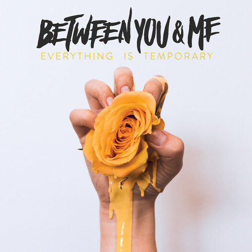 

CD диск Between You & Me: Everything Is Temporary