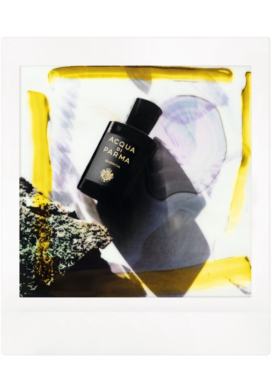 Quercia, Парфюмированная вода 100ml ACQUA DI PARMA — фото 4