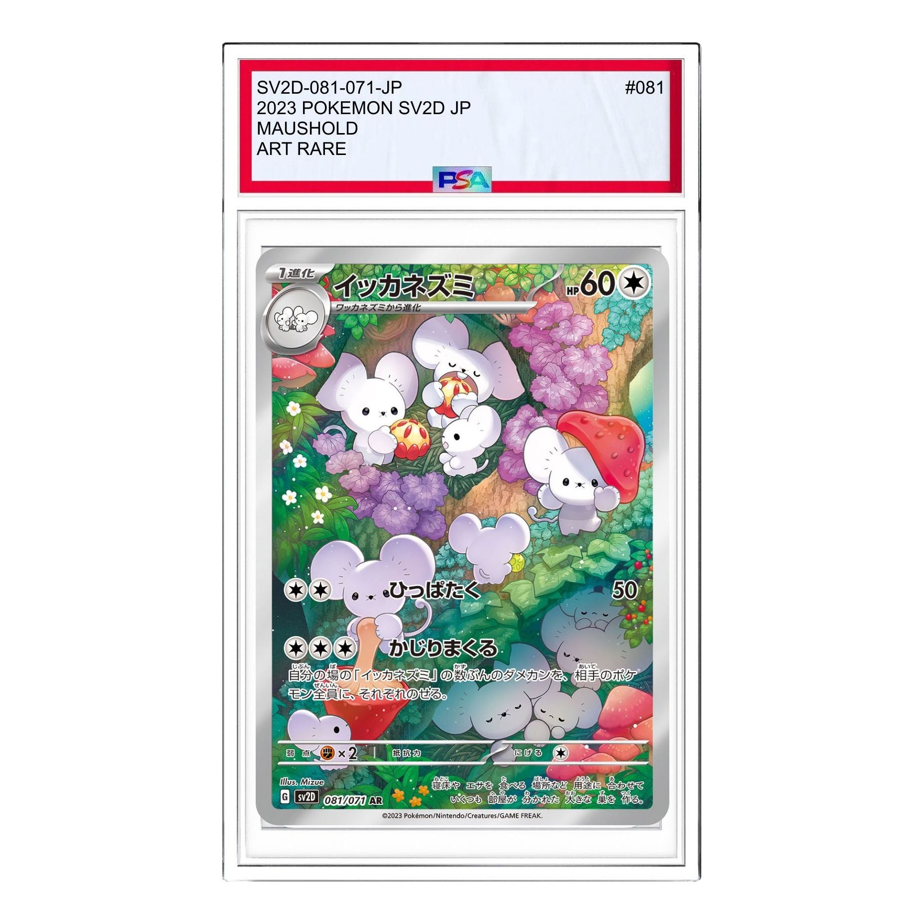 

Карта Pokemon Clay burst & Snow hazard [SV2D 081/071] 'Maushold AR'