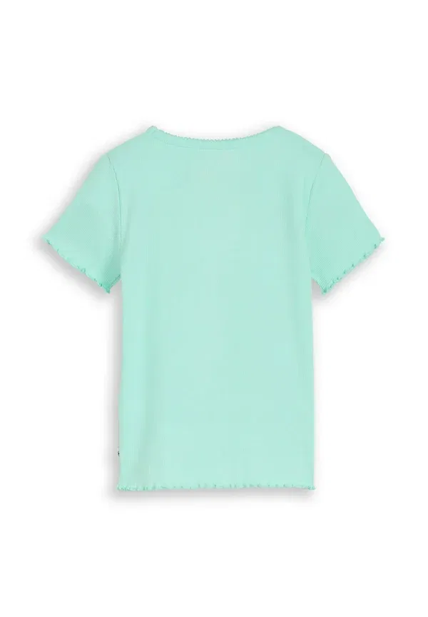 Футболка Tom Tailor T-Shirt mit stickerei basic t-shirt, светло-мятный — фото 2