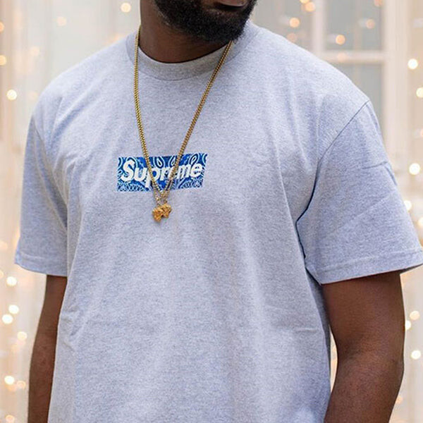 Футболка fw19 week 17 bandana box logo tee cashew short sleeve gray Supreme, серый — фото 4