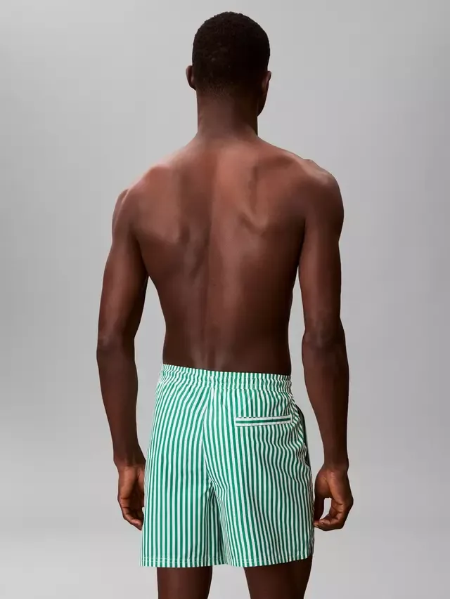 Плавки-шорты Stripe Performance Woven Swim Shorts, зеленые, средней длины Calvin Klein — фото 3