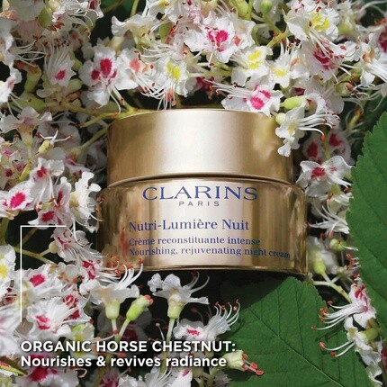 Крем для лица Clarins — Nutri-Lumigyore ночной для нормальной и сухой кожи, 50 мл — фото 3