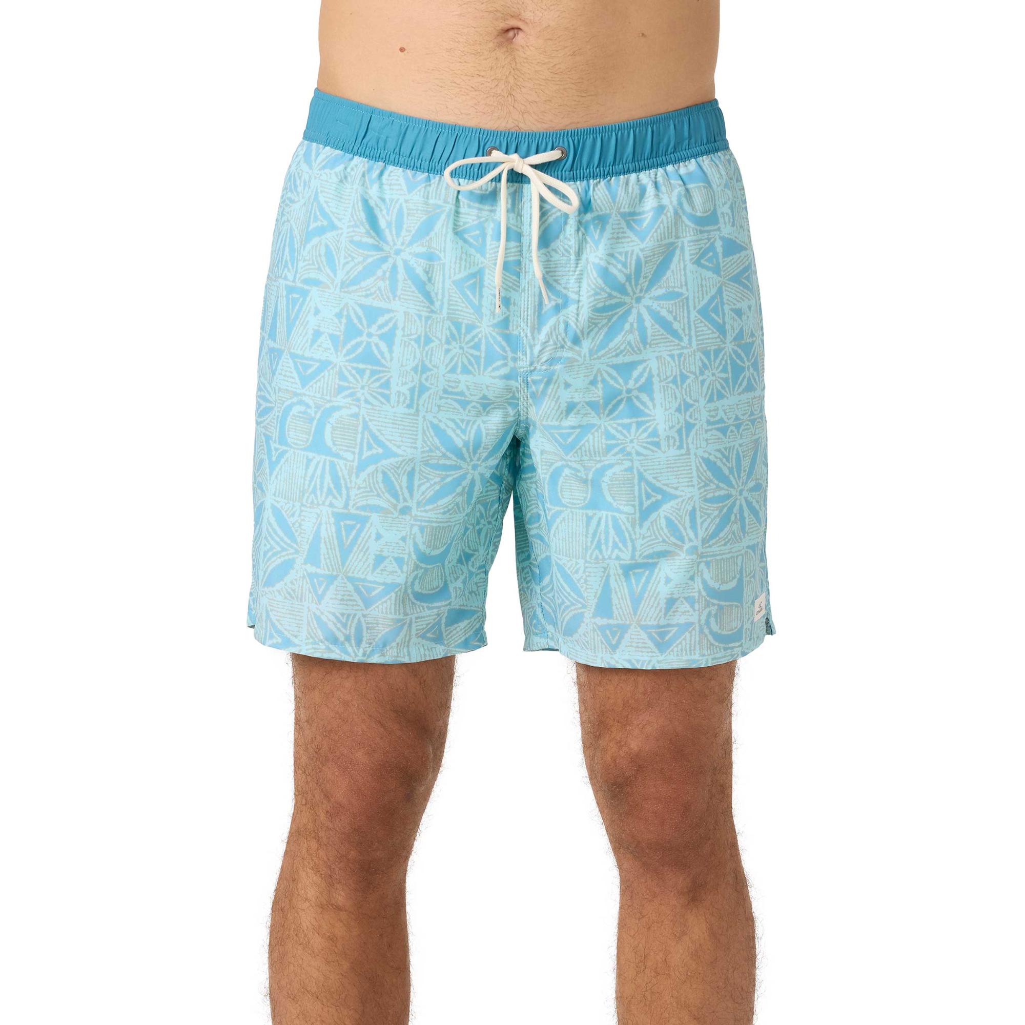 

Мужские волейбольные шорты Hermosa Light Lined 17 дюймов. O'Neill, Pastel Turquoise