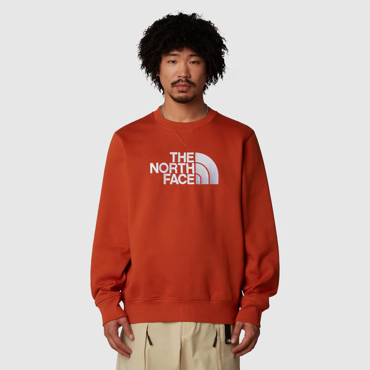 

Мужская толстовка The North Face Drew Peak, коричневый
