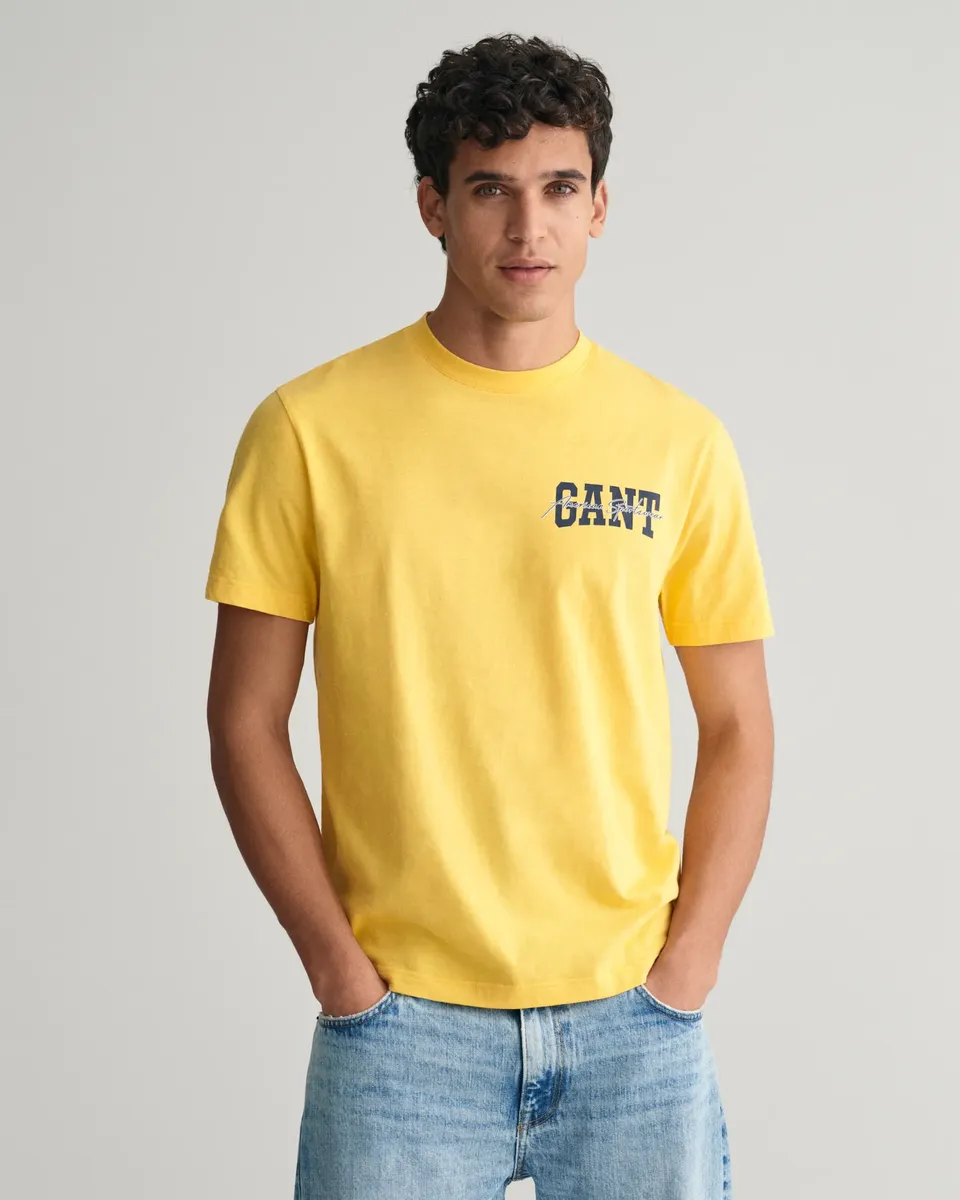 

Футболка Gant "GANT Arch Script Graphic T-Shirt", разноцветный принт, цвет Smooth Yellow