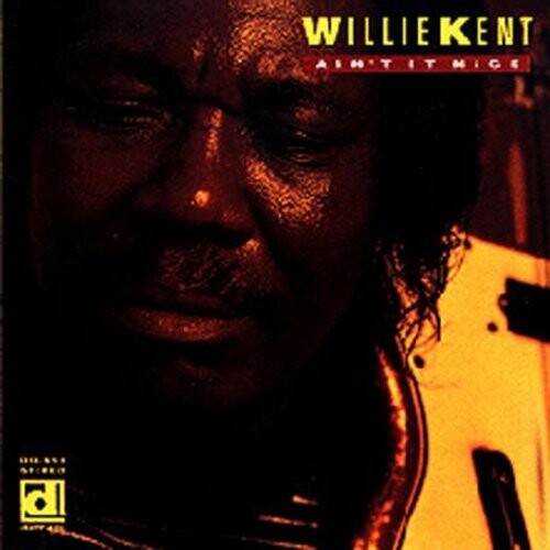 

CD диск Kent, Willie: Ain't It Nice