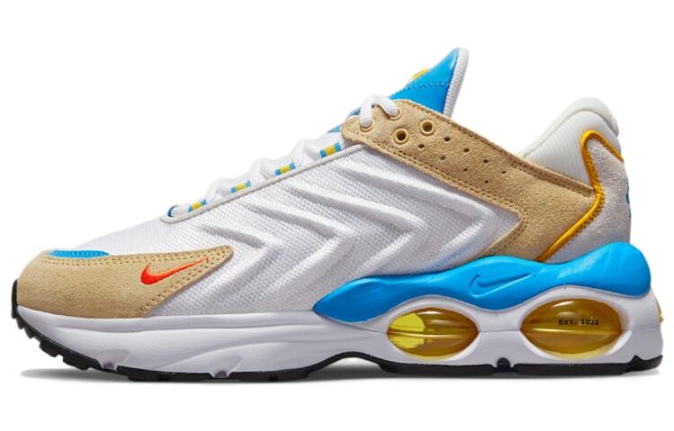 Кроссовки Nike Air Max TW M. Frank Rudy, мультиколор