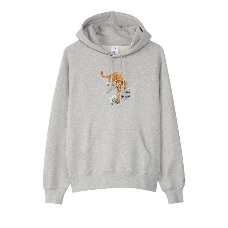 

Худи Puma x Noah Graphic Hoodie Grey, серый