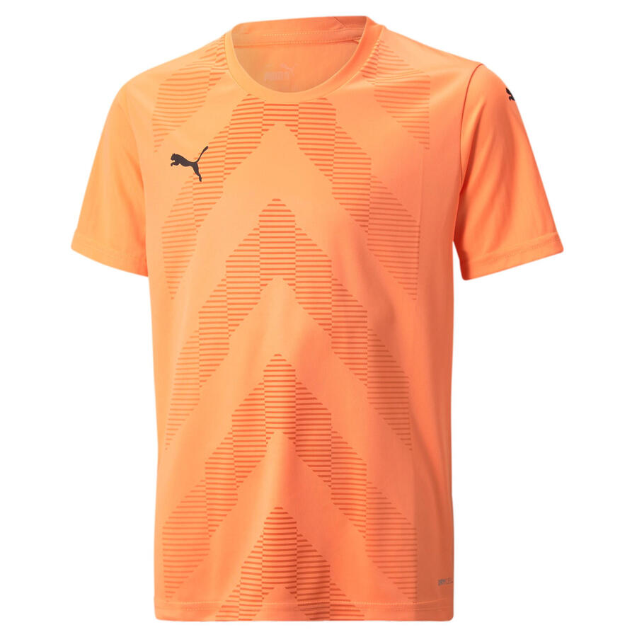 

Футболка Puma Kids' Jerseys teamGLORY Jersey Jr 705309