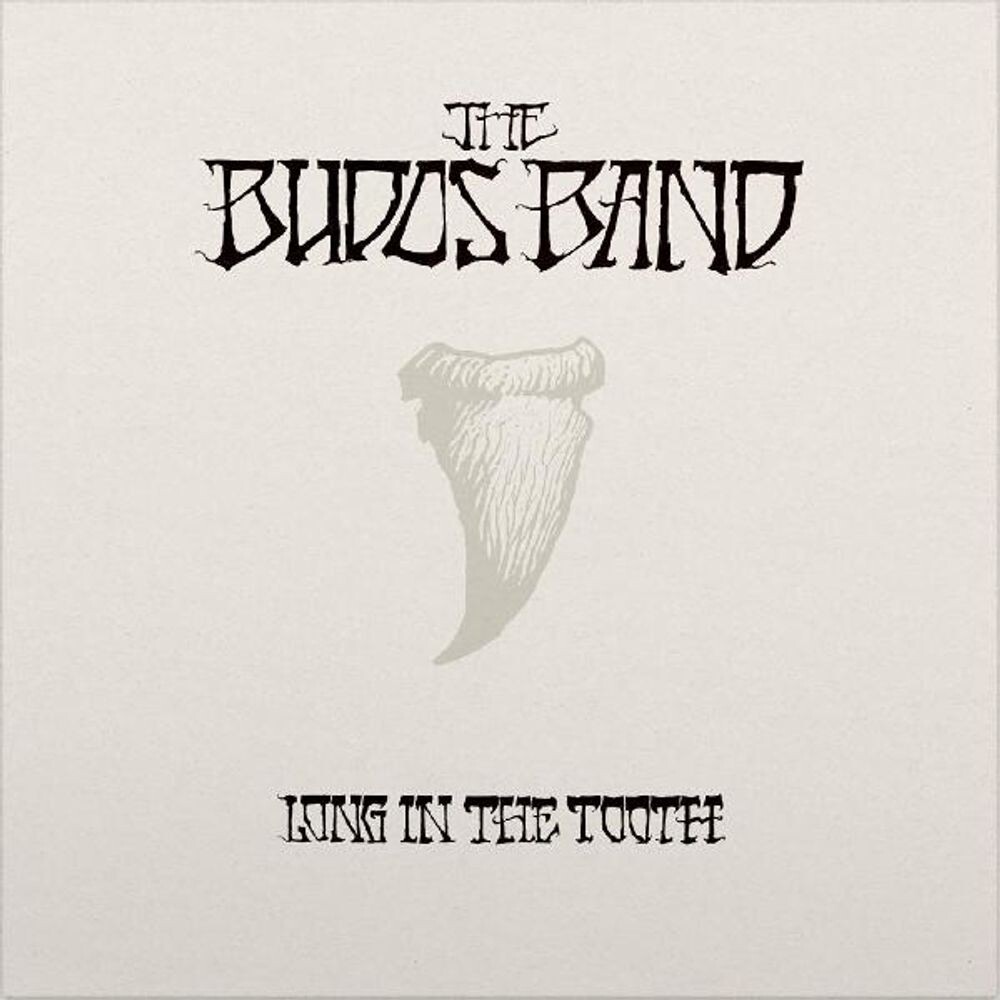 

Виниловая пластинка LP Long In The Tooth - The Budos Band