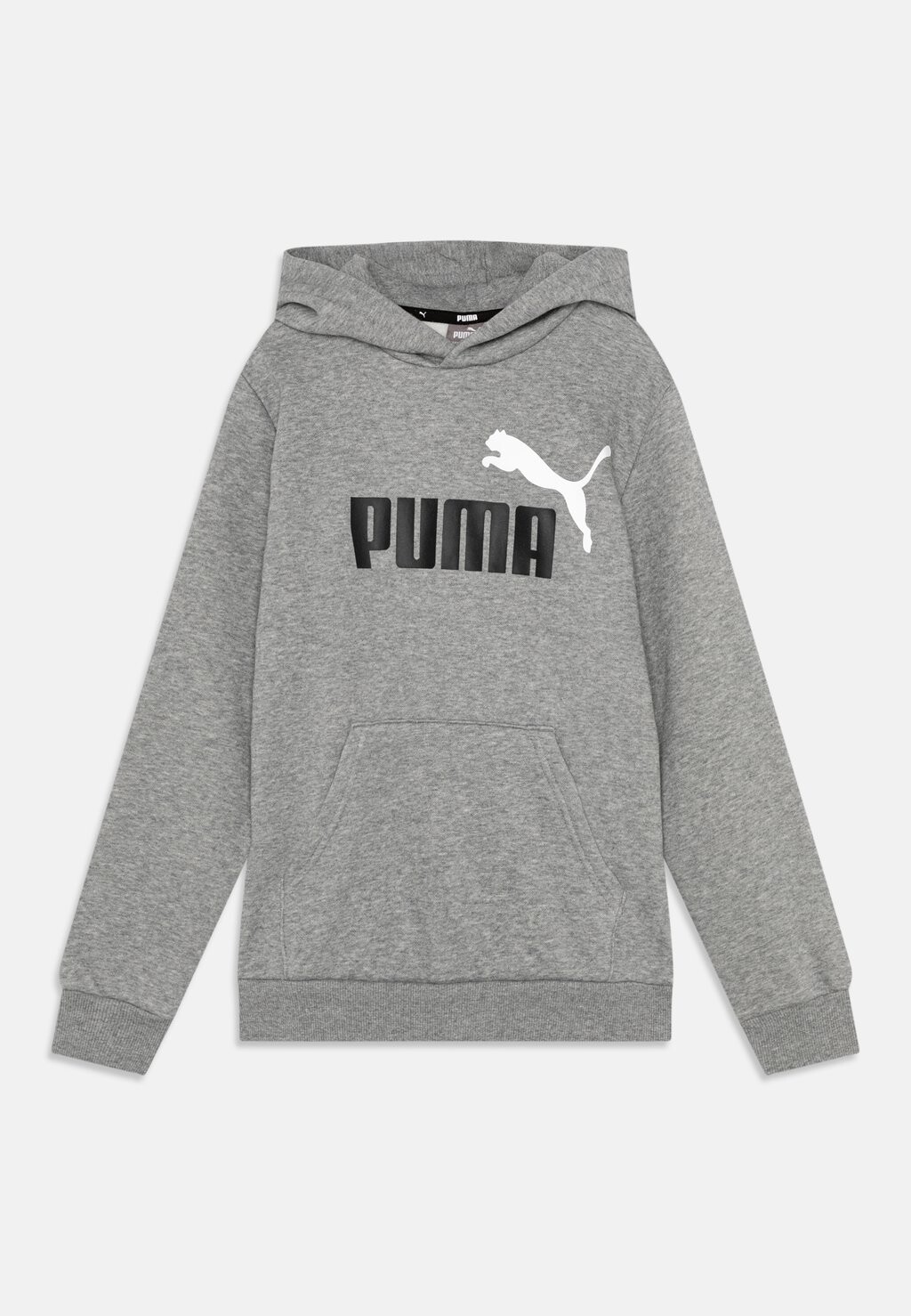 

Толстовка с капюшоном BIG LOGO HOODIE UNISEX Puma, серый