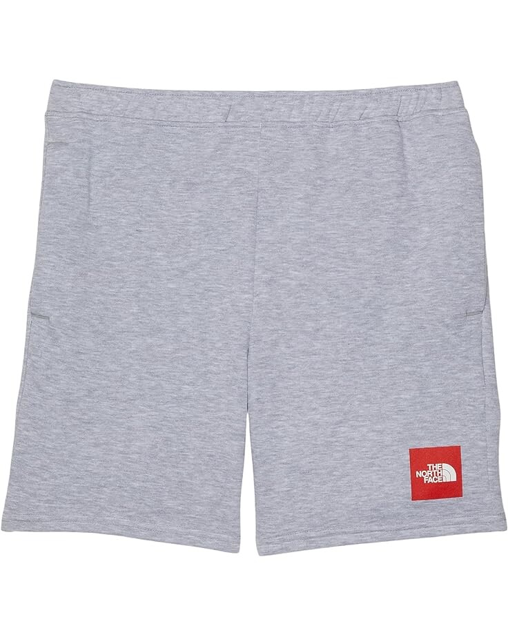 

Шорты The North Face Never Stop Training Shorts, цвет TNF Light Grey Heather