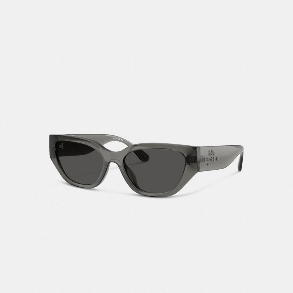 

Солнцезащитные очки Coach Geometric Cat Eye Sunglasses, цвет Transparent Gray
