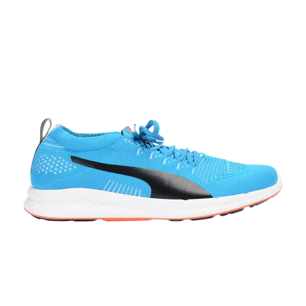 

Кроссовки Ignite Proknit Puma, синий