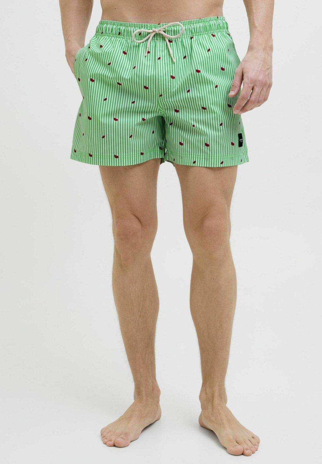 

Шорты для плавания JPSTMAUI MINI STRIPE Jack & Jones, светло-зеленый
