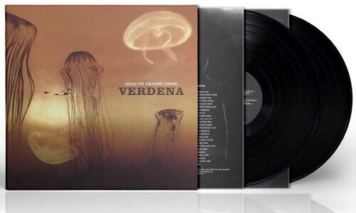 

Виниловая пластинка Verdena: Solo Un Grande Sasso