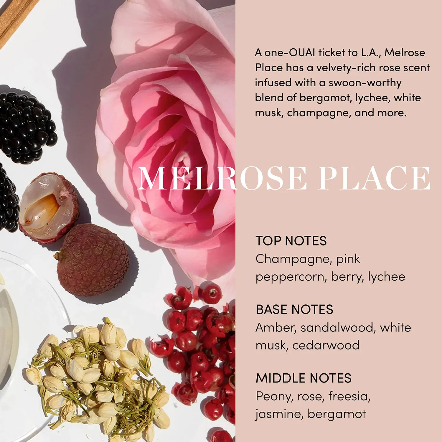 Скраб для кожи головы и тела «Melrose Place» от OUAI Ouai — фото 4