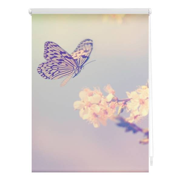 

Затемняющие рулонные шторы Lichtblick Schmetterling, 100x150x6 см, розовый