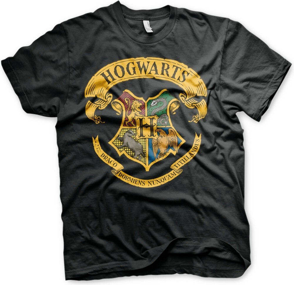 

Футболка Harry Potter, черный