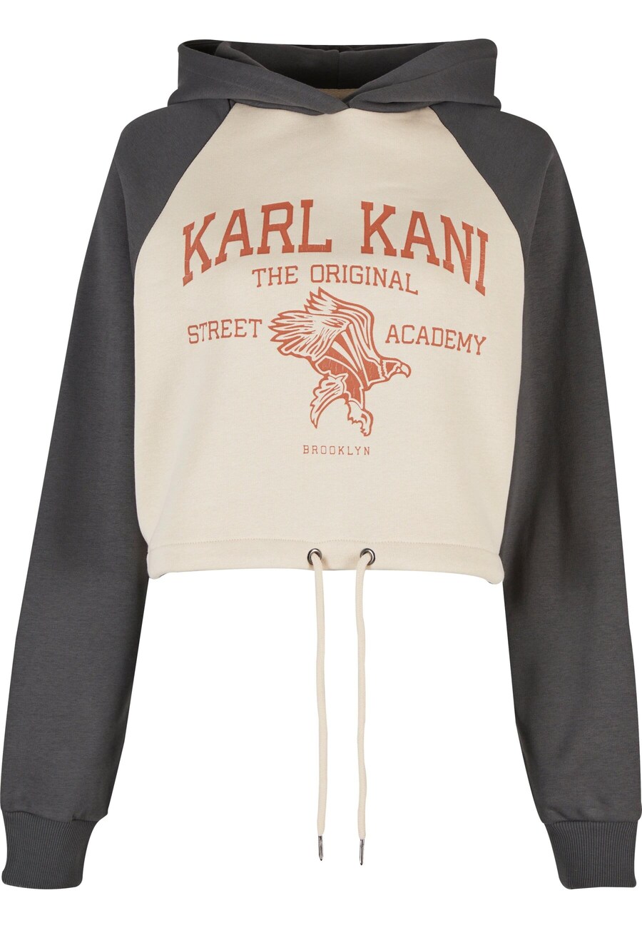 

Толстовка Karl Kani Street Academy, песочный