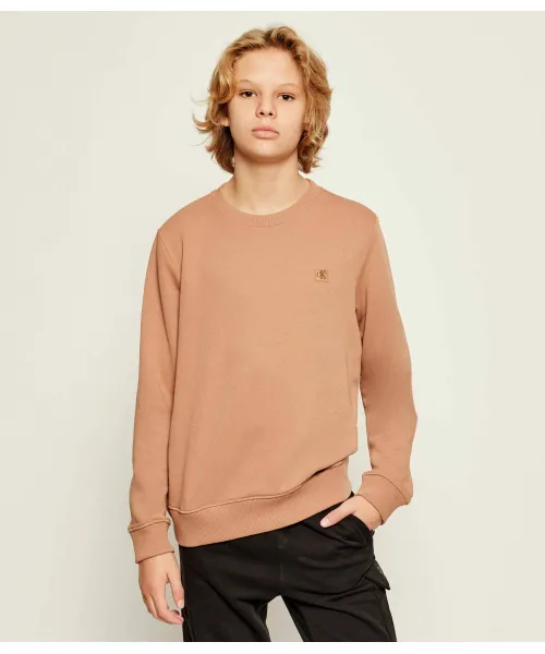 

Толстовка Regular fit Calvin Klein Jeans, коричневый