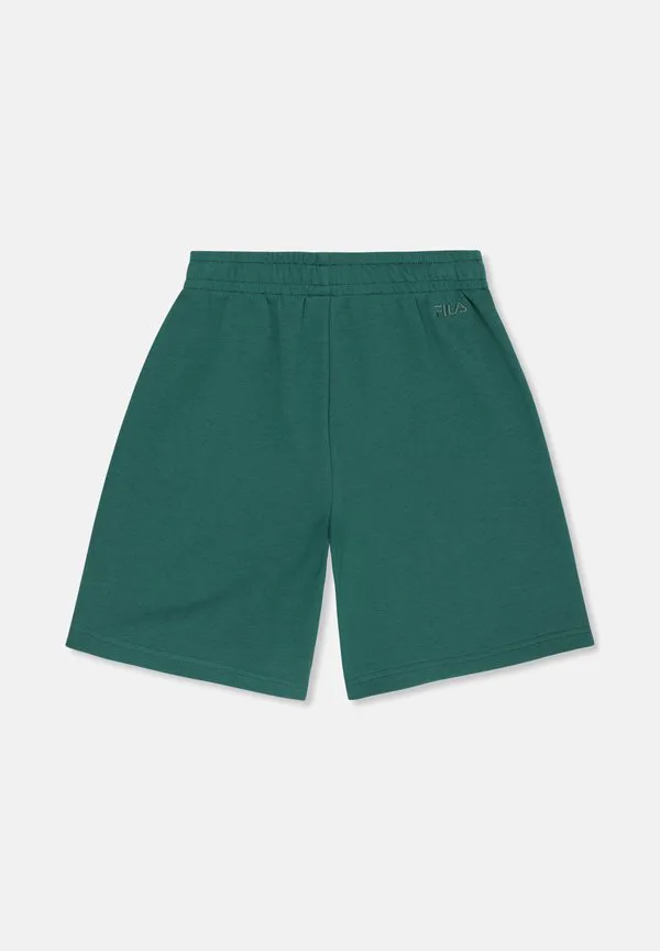 Одежда montanelli, свободные спортивные штаны с графическим принтом. Fila, Posy Green — фото 2