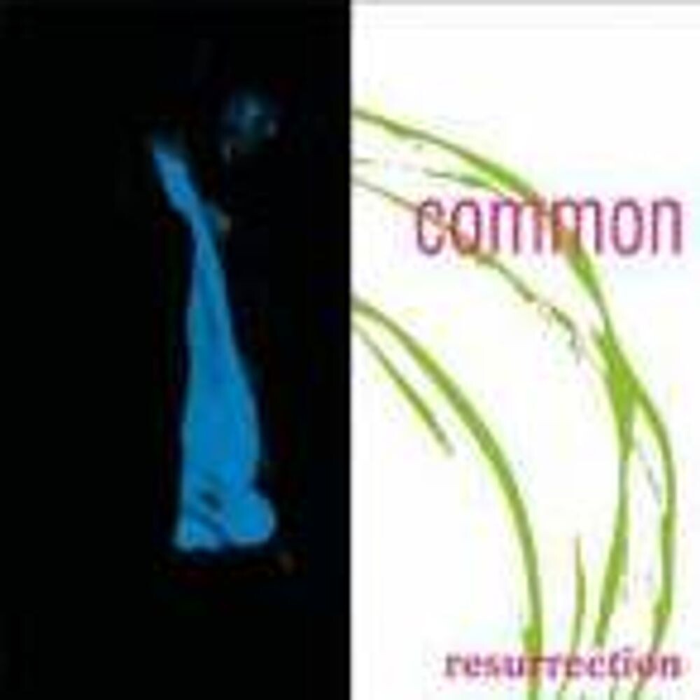 

Виниловая пластинка LP Resurrection - Common