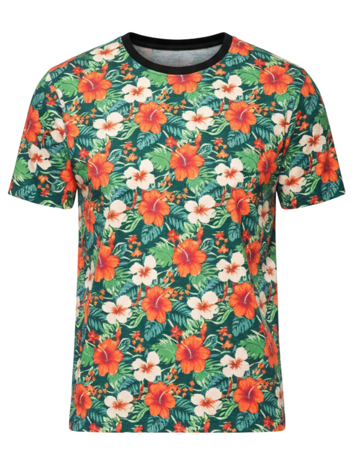 

Ombre Футболка в зеленом цвете