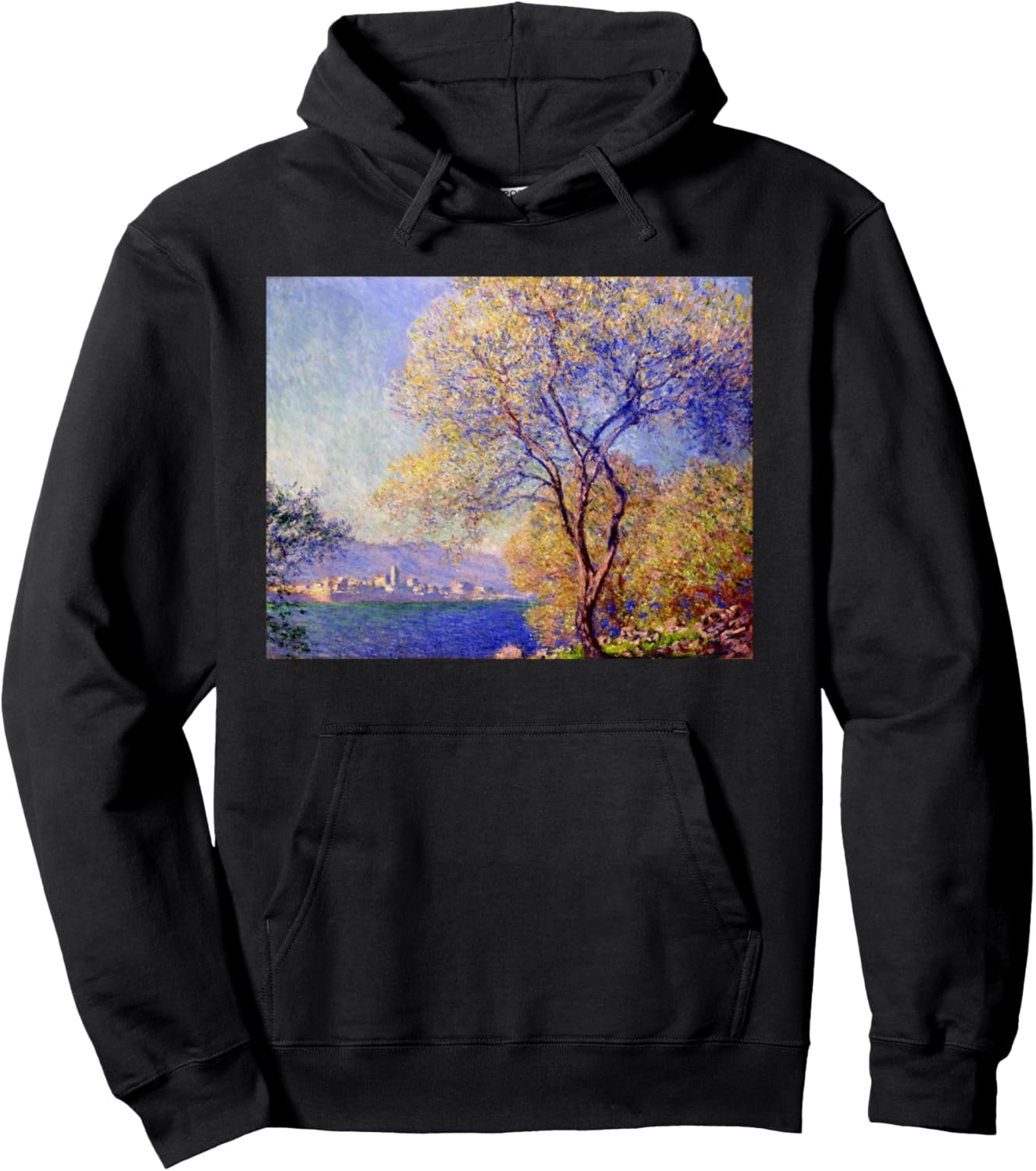 

Худи с изображением садов Моне в стиле импрессионизма Great Art Paintings Apparel Designs, черный