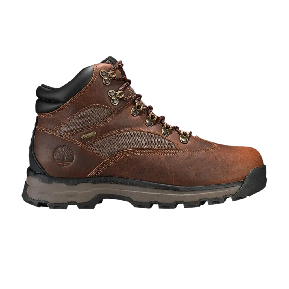 

Ботинки Chocorua Trail Mid Hicker GTX Timberland, коричневый