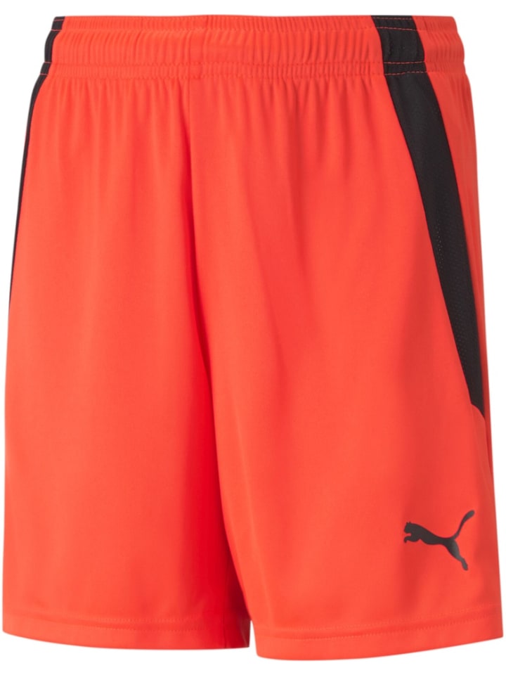 

Puma Спортивные штаны «TeamLIGA Shorts Jr» красного цвета