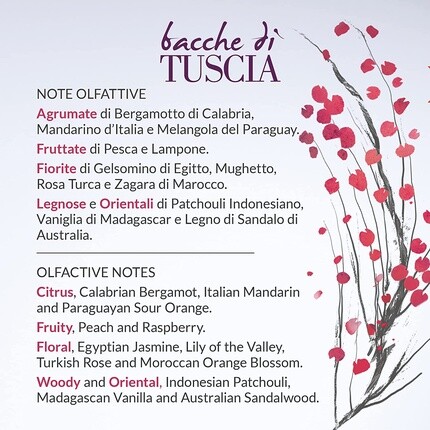 Erbario Toscano Бальзам для тела Bacche Di Tuscia — фото 2