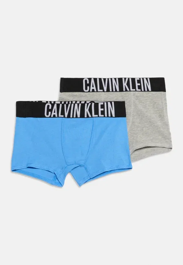 Трусы боксеры 2 шт Calvin Klein Underwear, сине-серый