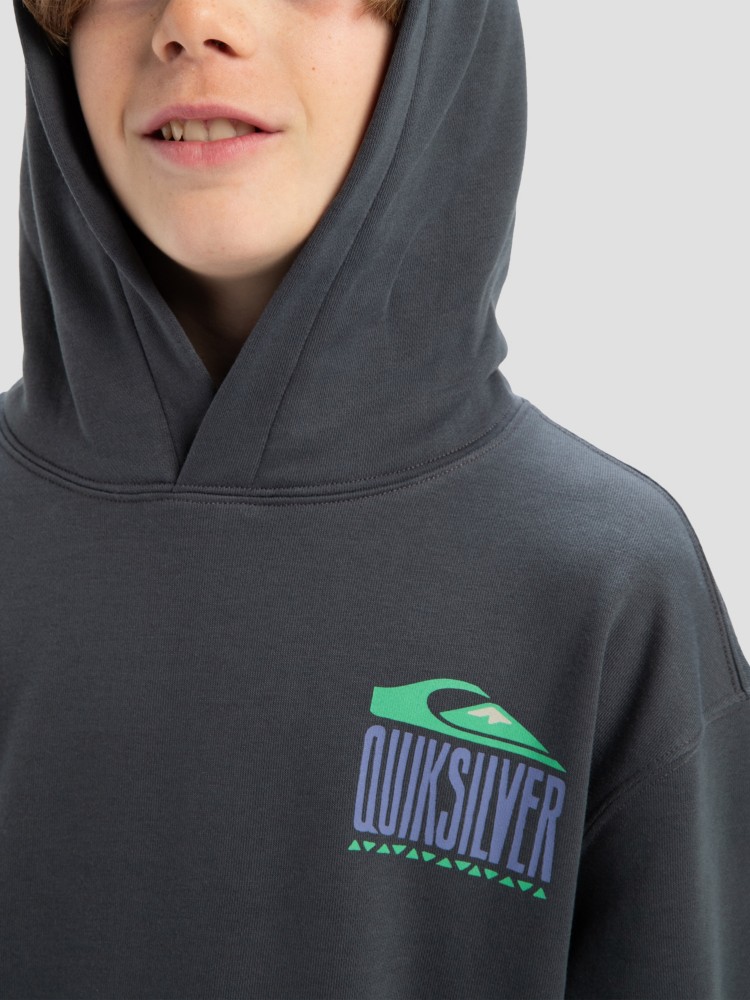 Толстовка Quiksilver Apog Heritage Kids Hoodie, iron gate — фото 3