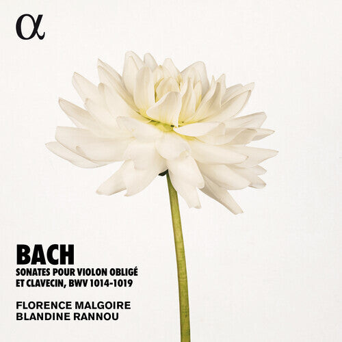 

CD диск Bach, J.S. / Rannou / Malgoire: Sonates Violon Oblige