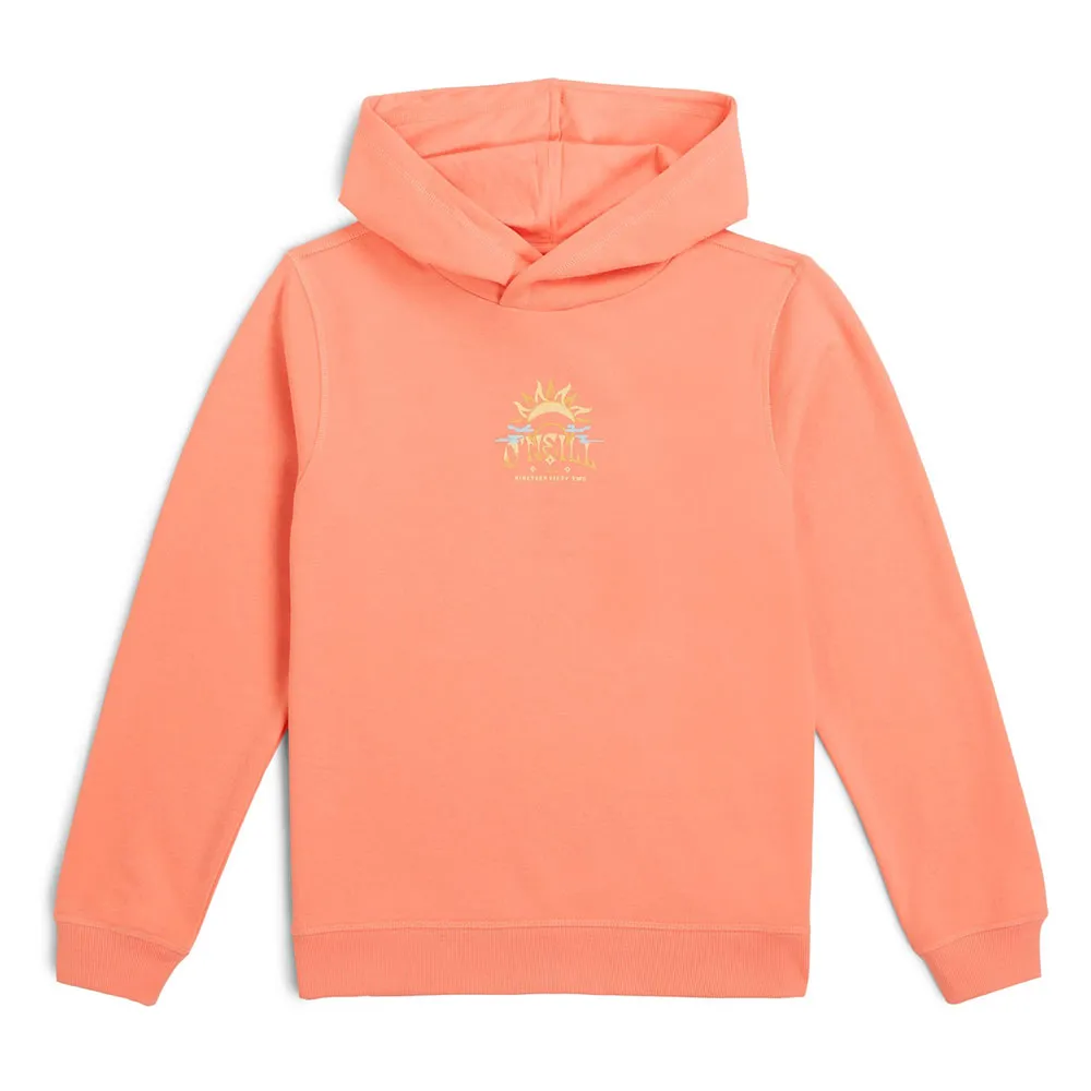 

Худи O´neill Back Print, оранжевый