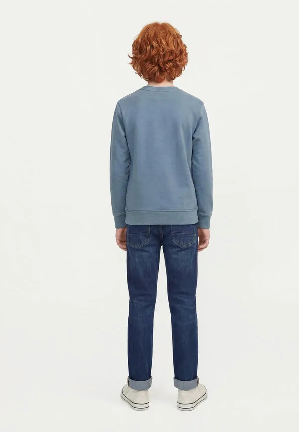 Свитшот с графическим принтом jjearchive и круглым вырезом Jack & Jones Junior, Blue Mirage — фото 2