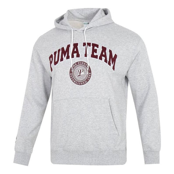 

Толстовка team hoodie 'grey' Puma, серый