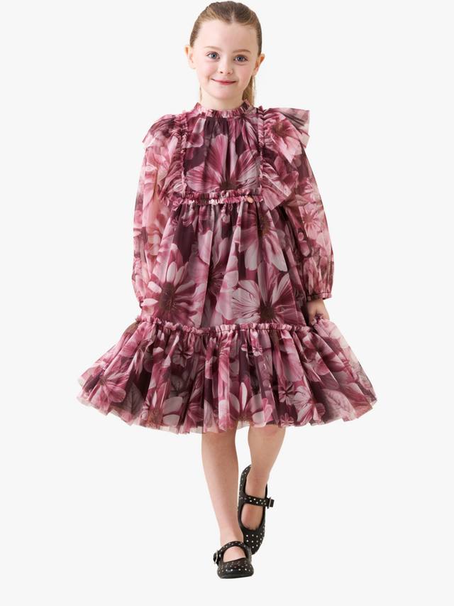 

Детское платье с длинными рукавами и цветочным принтом из сетчатой ткани Angel & Rocket, Burgundy