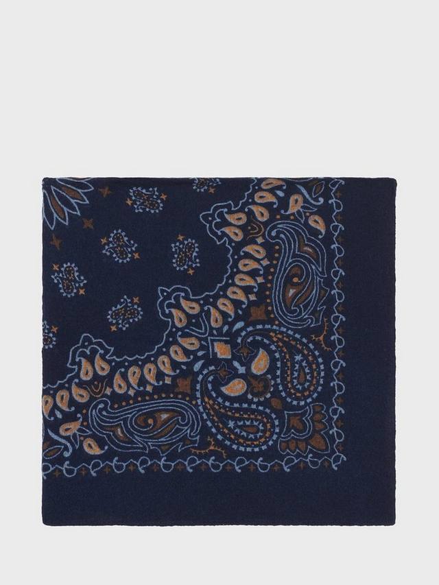 

Шарф Robyn Paisley из шерсти Gerard Darel, Multi